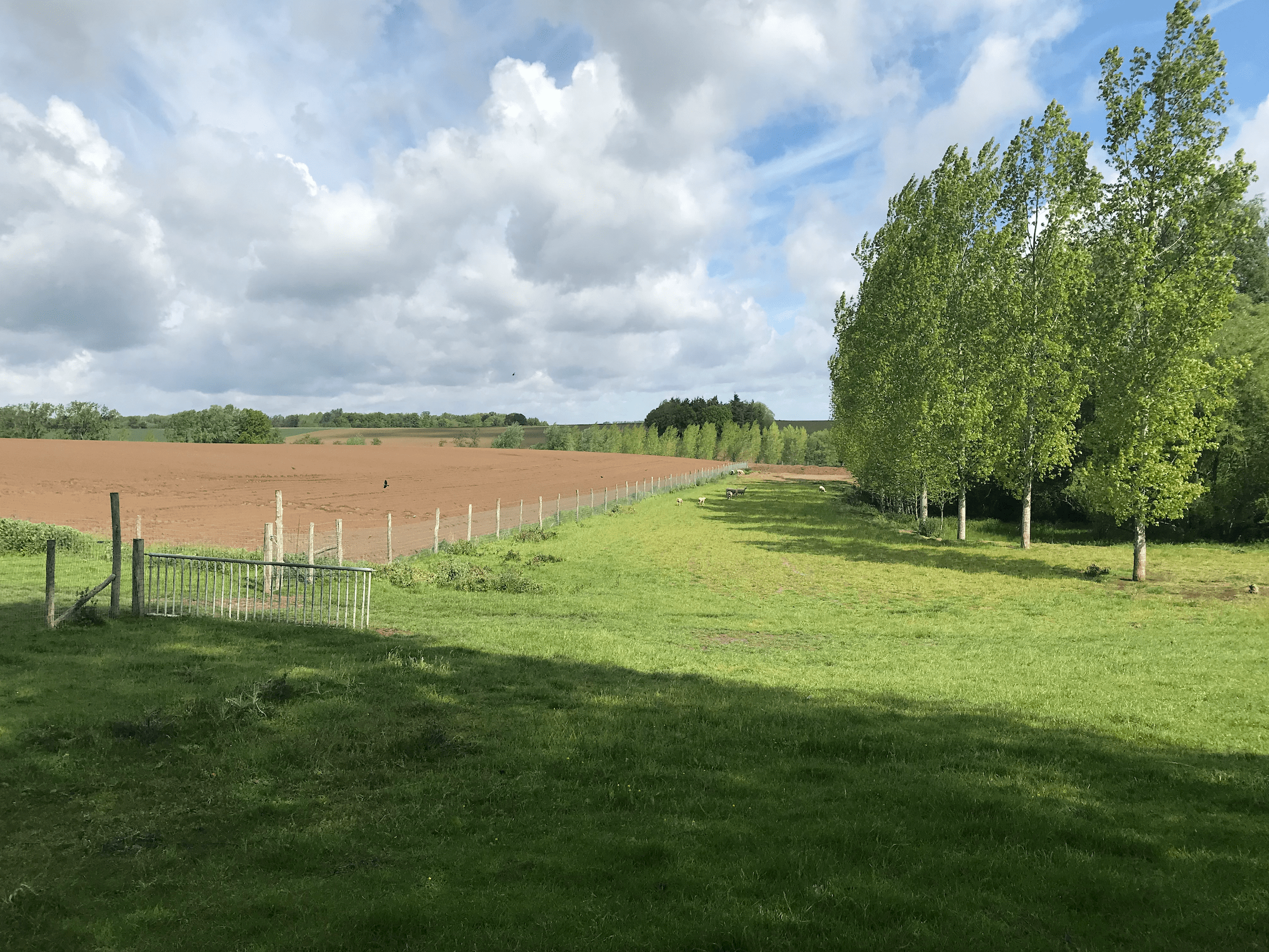 Capture d’écran 2023 05 07 à 21.43.57